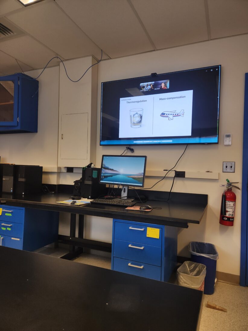 A computer monitor sits on a desk below a larger screen showing a slide on thermoregulation and mass-compensation with Zoom screens above with a group of people around a table in one and a single student in the other