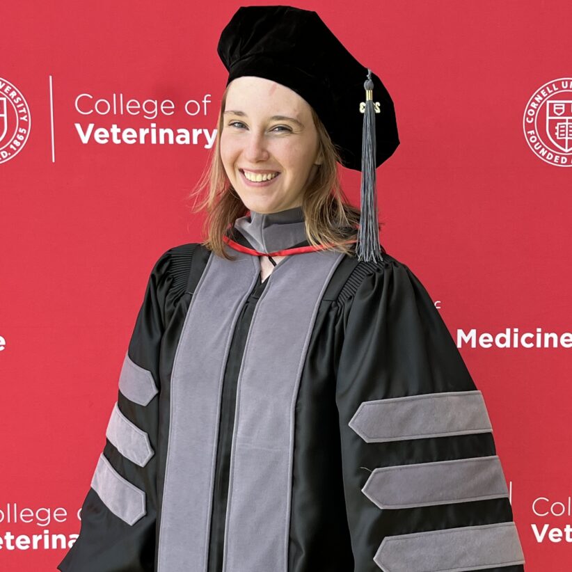 Kat Koebel wears her doctor of veterinary medicine regalia and stands in front of a sign with the Cornell College of Veterinary logo repeating