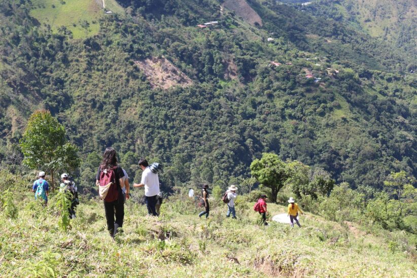 People descend the side of a grassy mountain