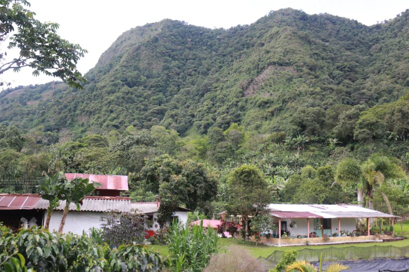 Homes stand in the foreground with large mountains in the background