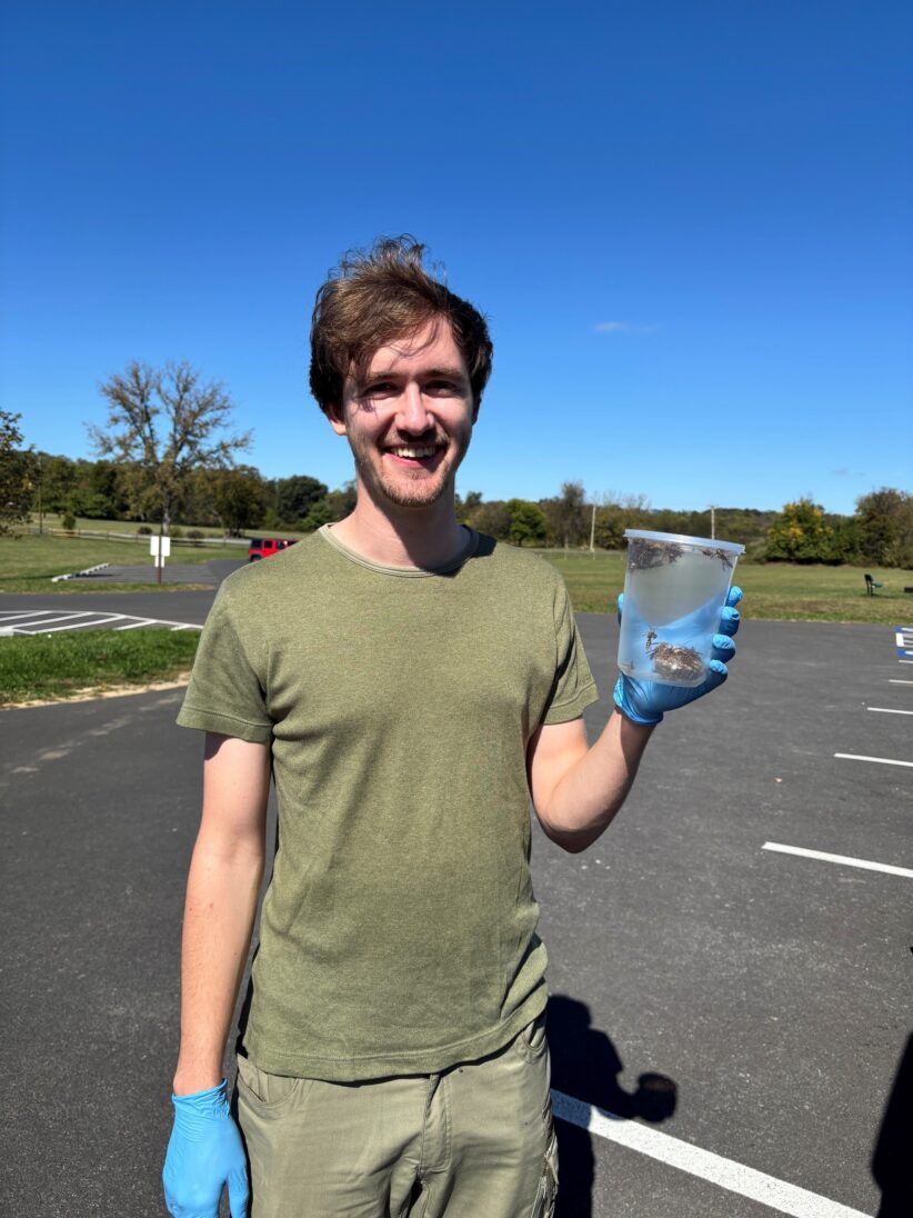 Lorenz Mammen holds a wasp nest