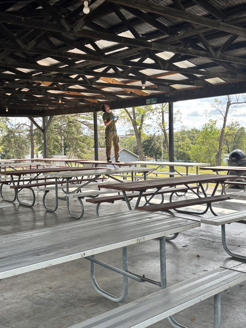 Lorenz Mammen stands on a table in a pavilion to collect a nest from the ceiling